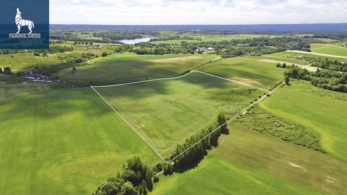 Parduodamas 774.39 a Sklypas Pakalnių k.